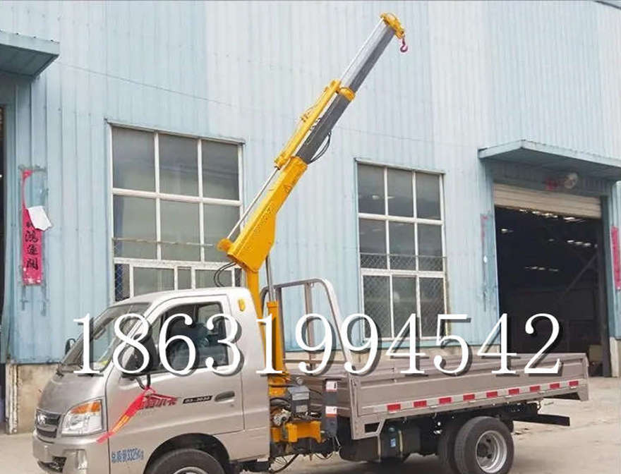 楠西区车载吊机小吊机220V吊车小型出租出租起重机车载吊机